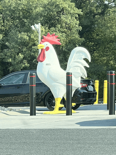a statue of a white rooster with a red crest and yellow beak sits in a parking lot