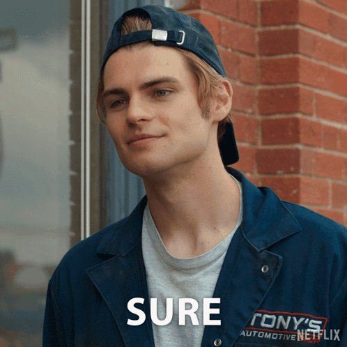 Sure Cole Walter GIF - Sure Cole Walter My Life With The Walter Boys GIFs