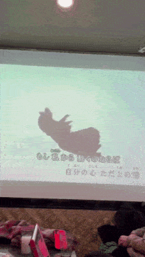 a projector screen displays a shadow of a person with chinese writing on it