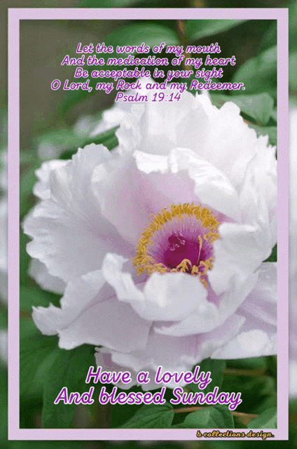 a picture of a flower with a bible verse on it