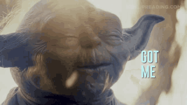 a close up of a statue of yoda with the words got me behind him