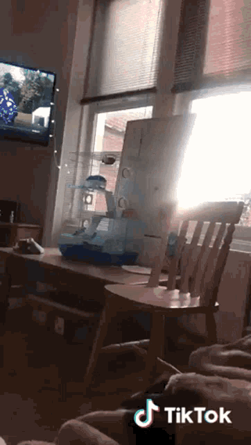 a hamster cage sits on a table next to a chair in a living room