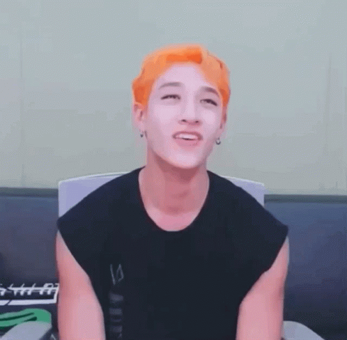 Bang Chan Chan GIF - Bang Chan Chan Skz GIFs