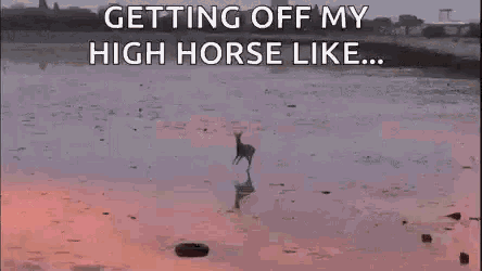 Highhorse Skipping GIF - Highhorse Skipping GIFs