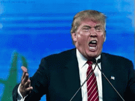Trump No Likey GIF - Donaldtrump Trump Angry GIFs