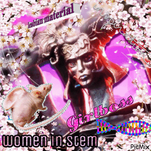 a poster with a statue of a woman and the words " women in stem " on it