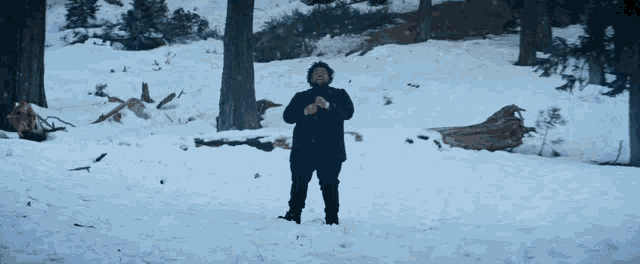 a man in a black coat is standing in the snow in a forest