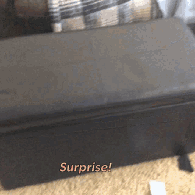 the word surprise that is on a black object