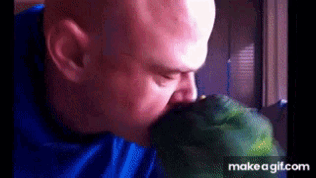 a bald man is eating a watermelon with his mouth .