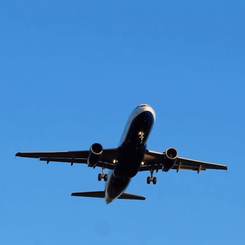 Airplane In The Skies The Last Tourist GIF - Airplane In The Skies The Last Tourist Depart GIFs