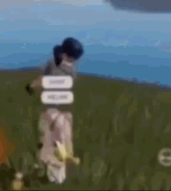 a person is flying through the air in a video game while another person is standing in the grass .