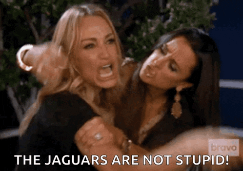 two women are fighting and one of them is saying the jaguars are not stupid .