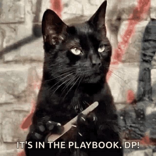 Playbook Blackcat GIF - Playbook Blackcat GIFs