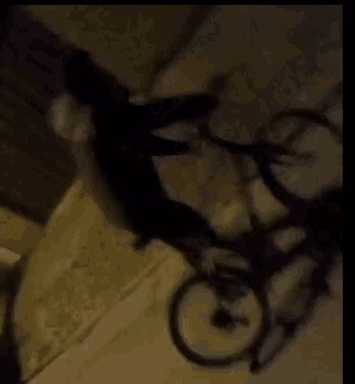 a shadow of a person riding a bicycle is cast on a wall