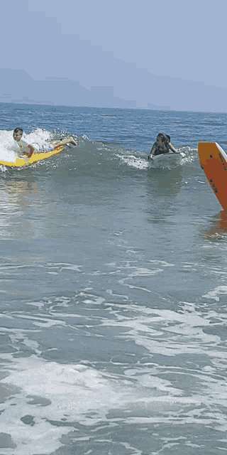 a person riding a wave with a green surfboard that says ' o'neill ' on it