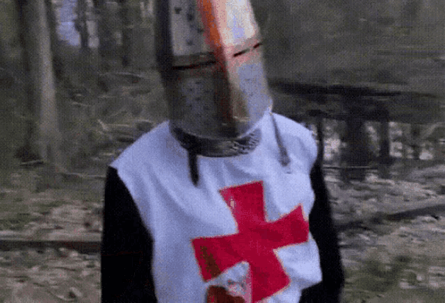 a person in a knight costume with a red cross on their chest