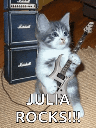 a kitten playing a guitar with the words julia rocks written below it