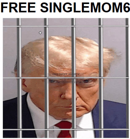 a picture of donald trump in a jail cell with the caption free singlemom6