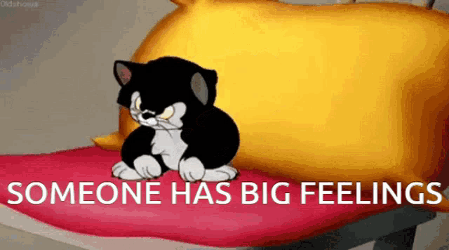 a cartoon cat is sitting on a bed with the words someone has big feelings