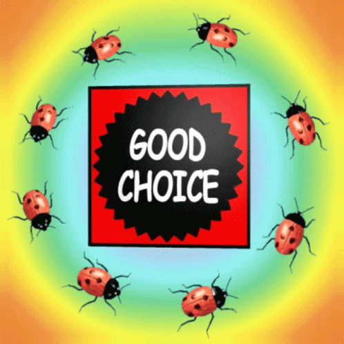 Good Choice Good Selection GIF - Good Choice Good Selection Excellent Choice GIFs