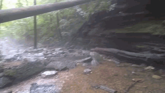 a blurred image of a forest with trees and rocks in it