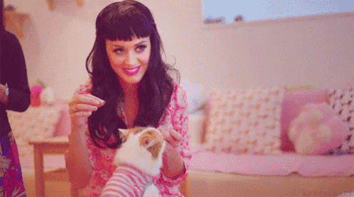 a woman is sitting on a couch playing with a cat in a pink room .
