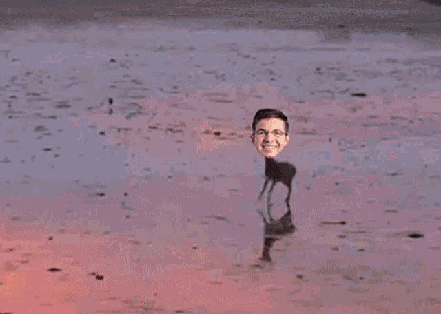 a man 's head is sticking out of a puddle of water