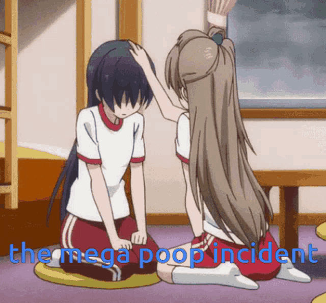 two anime girls are sitting on the floor and one of them is touching the other 's head with the words " the mega poop incident " below them