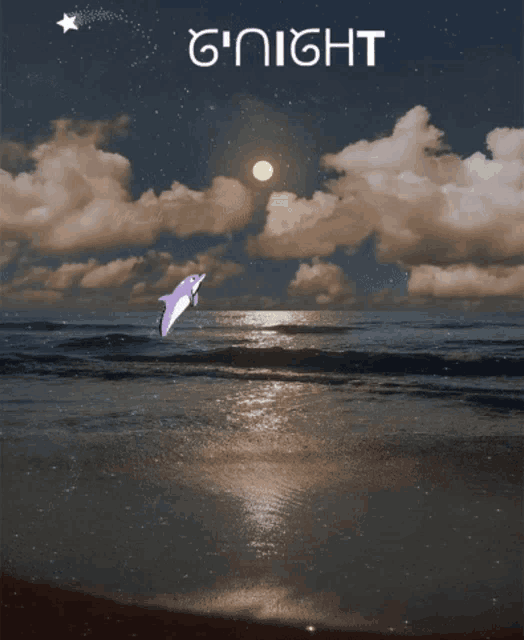 a picture of a dolphin jumping into the ocean at night