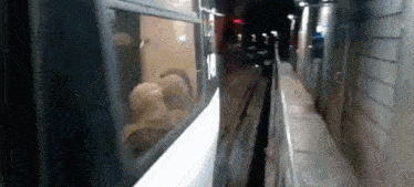a train is going down the tracks at night and a person is looking out of the window .