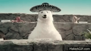 Polar Bear Sombrero GIF - Polar Bear Sombrero Hello I Am Polar Bear GIFs