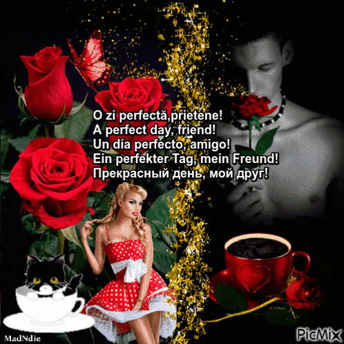 a man holding a red rose next to a woman and a cat