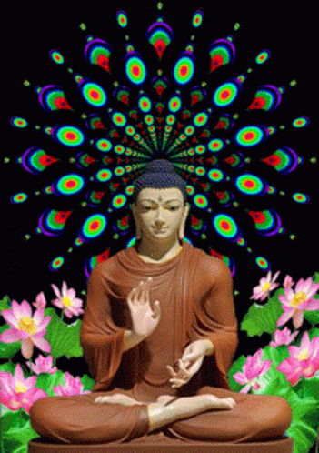 Buddha21 GIF - Buddha21 GIFs