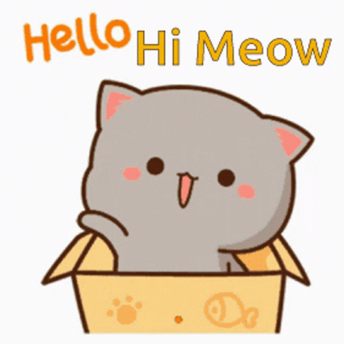 Hi Cat GIF - Hi Cat Meow GIFs