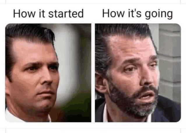 two pictures of a man with a beard and a caption that says `` how it started '' and `` how it 's going ''
