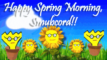 a happy spring morning smubcord greeting card with sunflowers in pots