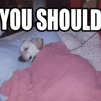 a dog is laying on a bed under a pink blanket with the words you should above it