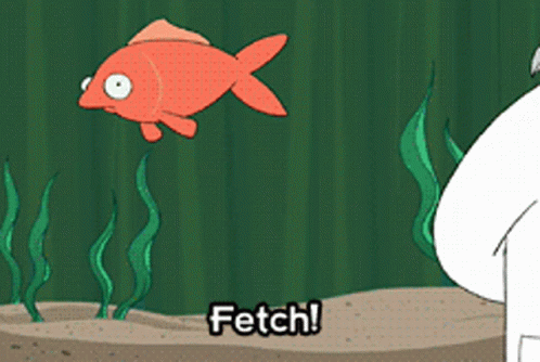 Futurama Fetch GIF - Futurama Fetch Fish GIFs