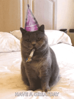 a cat wearing a party hat is sitting on a bed with a party horn in its mouth ..