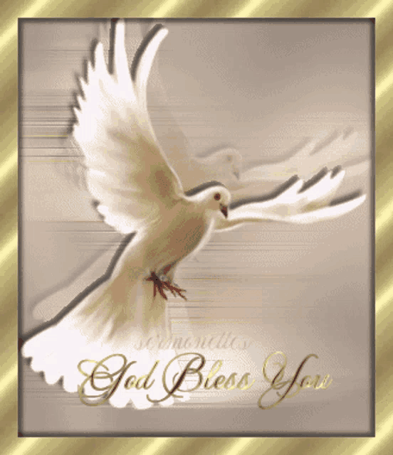a picture of a dove with the words god bless you
