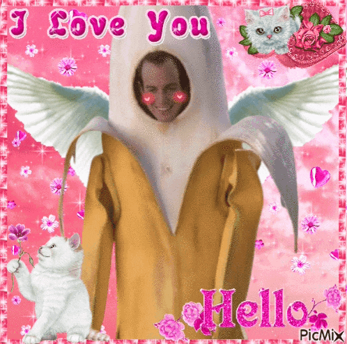 a picture of a man in a banana costume that says " i love you "