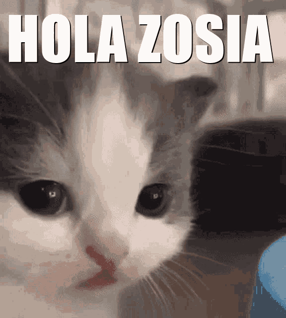 Hola Zosia GIF - Hola Zosia GIFs