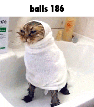 a cat wrapped in a towel in a bathtub with the text balls 186