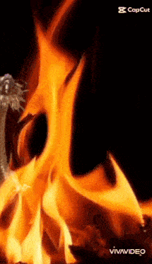 a close up of a fire with a black background