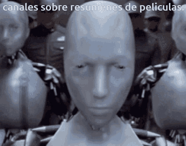 a group of mannequins with the words canales sobre resumenes de peliculas below them