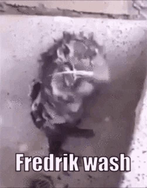 Fredrik Wash GIF - Fredrik Wash Fredrik Wash GIFs