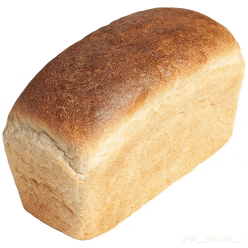 a loaf of bread is against a white background with the hashtag starlex_