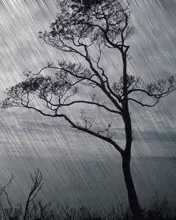 Animated Rain GIF - Animated Rain GIFs
