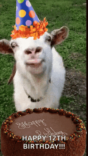 a goat wearing a party hat is standing next to a cake that says happy 12th birthday