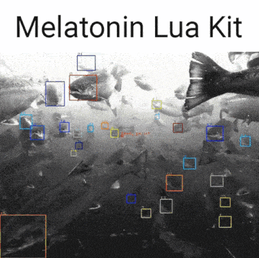 a black and white photo of fish with the words melatonin lua kit on top